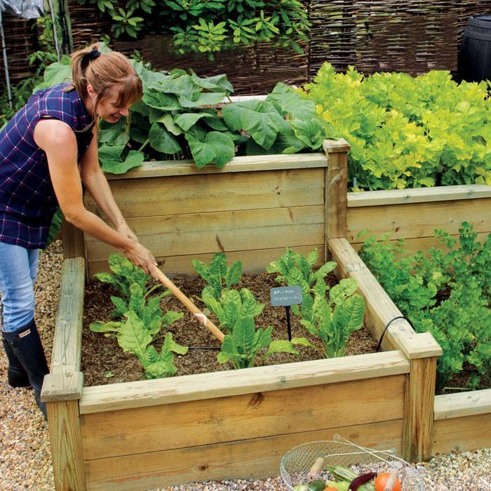 Linked Raised Beds